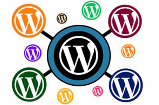 WordPress Multisite