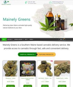 Website Design and WordPress web development, web hosting, Laconia Lakes Region of New Hampshire